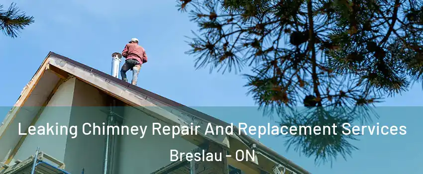 Leaking Chimney Repair And Replacement Services Breslau - ON