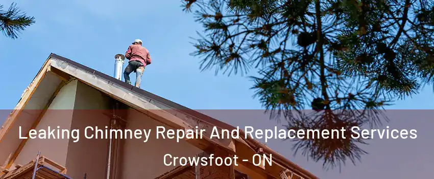 Leaking Chimney Repair And Replacement Services Crowsfoot - ON