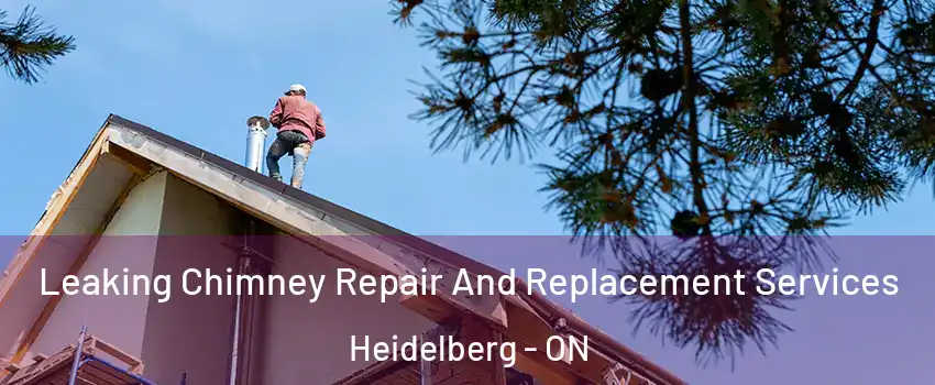 Leaking Chimney Repair And Replacement Services Heidelberg - ON