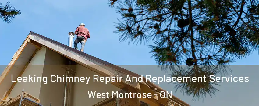 Leaking Chimney Repair And Replacement Services West Montrose - ON