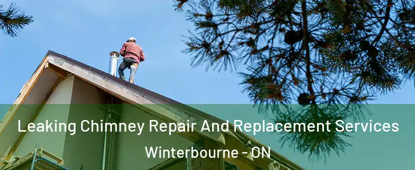 Leaking Chimney Repair And Replacement Services Winterbourne - ON