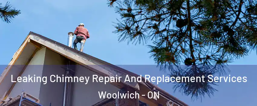 Leaking Chimney Repair And Replacement Services Woolwich - ON