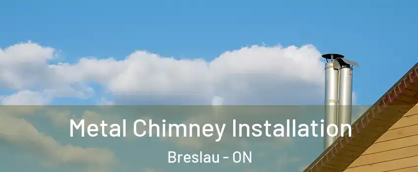 Metal Chimney Installation Breslau - ON