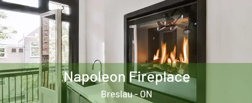 Napoleon Fireplace Breslau - ON