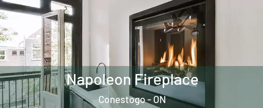 Napoleon Fireplace Conestogo - ON