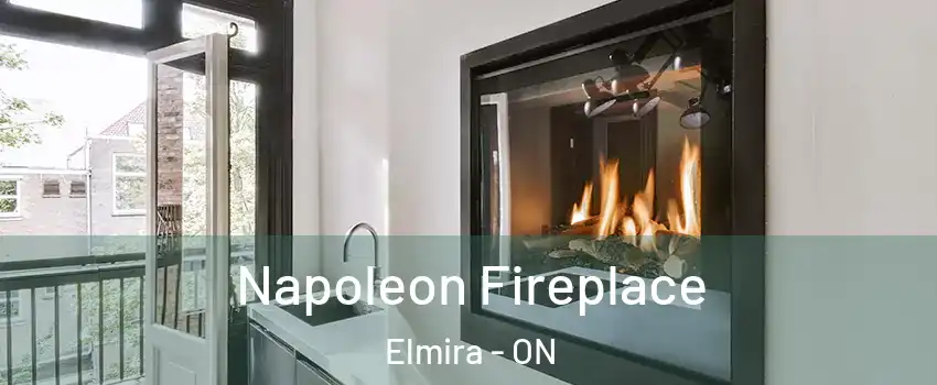 Napoleon Fireplace Elmira - ON