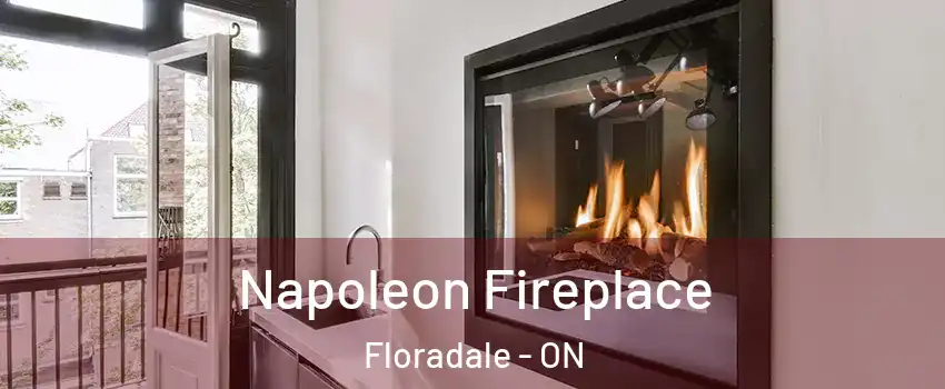  Napoleon Fireplace Floradale - ON