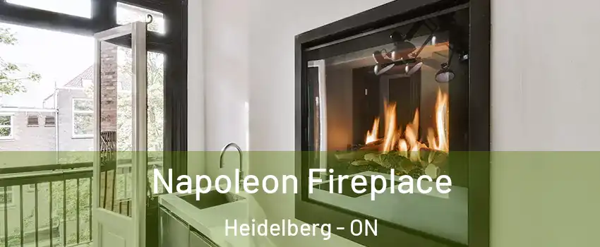  Napoleon Fireplace Heidelberg - ON
