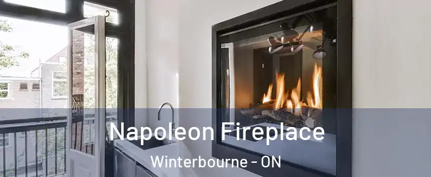 Napoleon Fireplace Winterbourne - ON