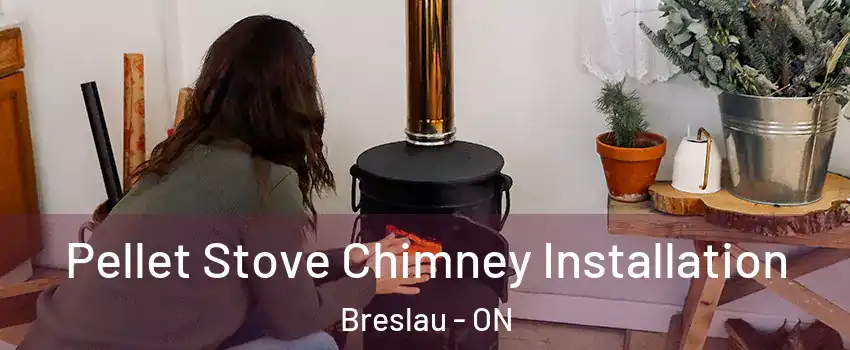 Pellet Stove Chimney Installation Breslau - ON