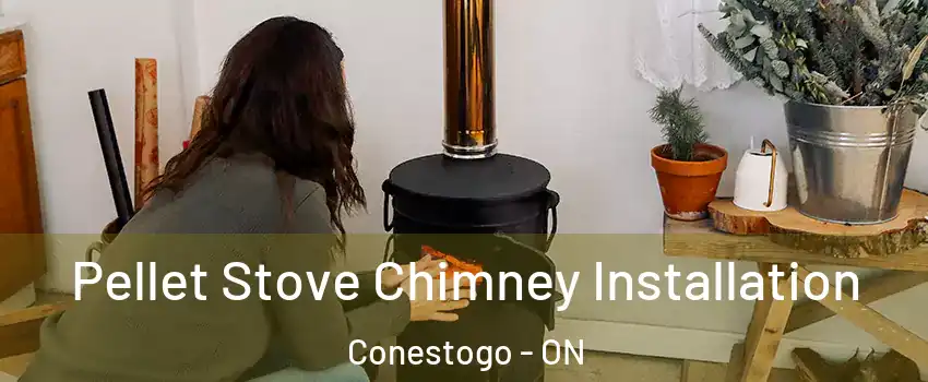 Pellet Stove Chimney Installation Conestogo - ON
