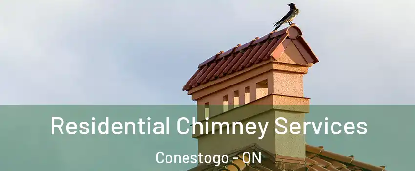 Residential Chimney Services Conestogo - ON