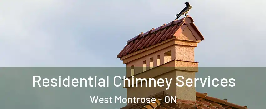 Residential Chimney Services West Montrose - ON