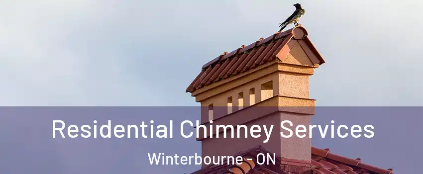 Residential Chimney Services Winterbourne - ON