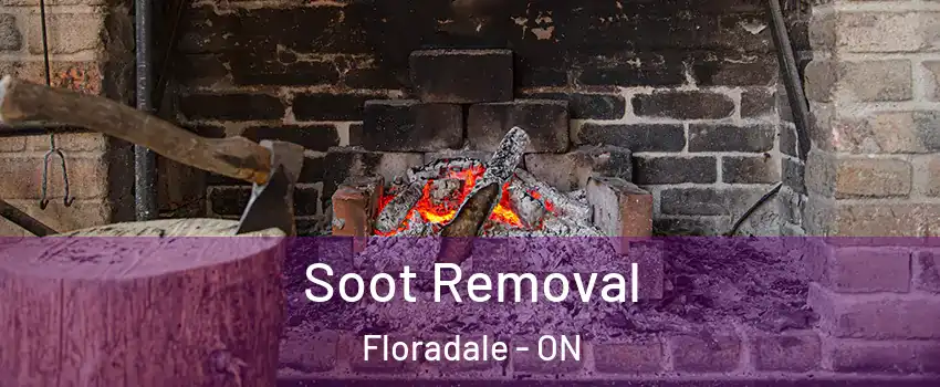 Soot Removal Floradale - ON