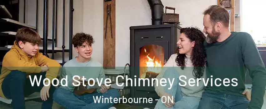 Wood Stove Chimney Services Winterbourne - ON