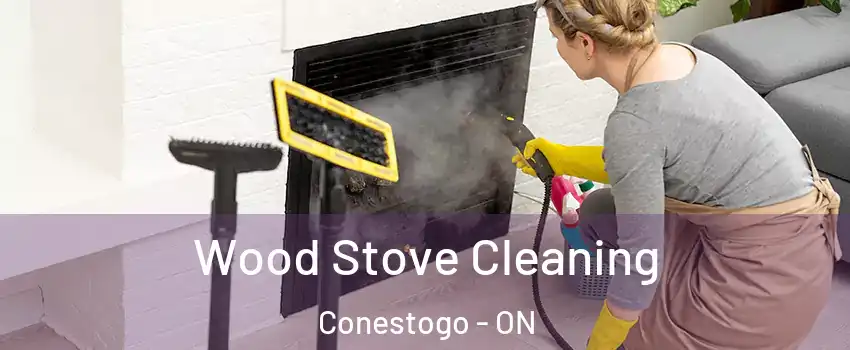 Wood Stove Cleaning Conestogo - ON