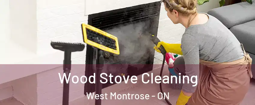 Wood Stove Cleaning West Montrose - ON