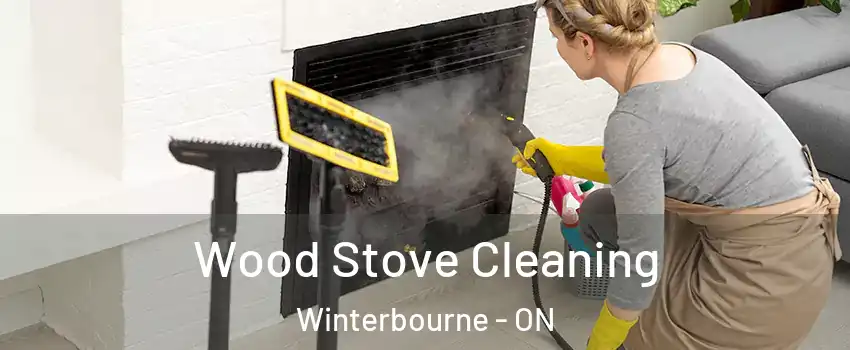 Wood Stove Cleaning Winterbourne - ON